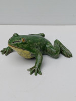 /album/galerie-photos/grenouille-juillet-2024-jpg/